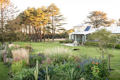 Un generoso cantero de gramíneas y herbáceas, de espaldas a los nogales