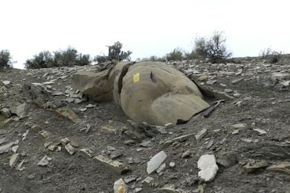 Un geólogo con 8 años de experiencia en una empresa grande puede tener un sueldo mayor a 100 mil pesos