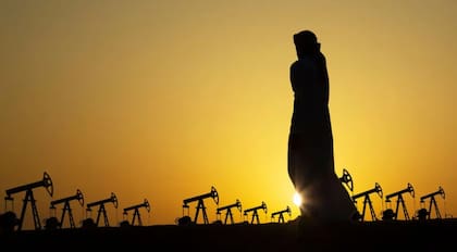 Un geólogo especializado estudió estudió la zona por su carácter estratégico.