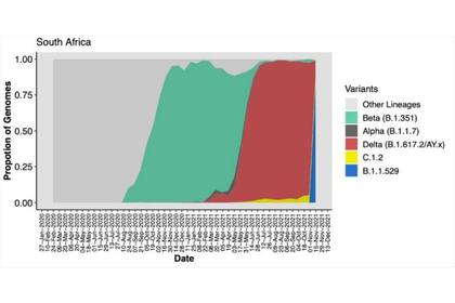 Un gráfico publicado por las autoridades sudafricanas muestra las variantes del coronavirus más dominantes en el país durante la pandemia. Después del "dominio delta" (área roja), ómicron (área azul) está ganando terreno rápidamente