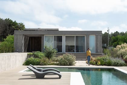 Un gran cantero que abraza un olivo da la bienvenida al jardín sin césped