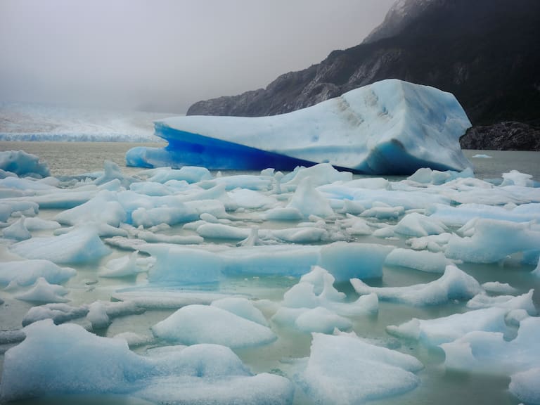 El glaciar Grey y un gran témpano desprendido, detenido en una bahía del lago homónimo. Fotos: Nicolás Janowski