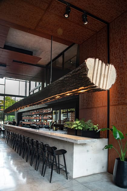 Un gran tronco suspendido oculta la iluminación y corona todo el sector de la barra, localizado al ingresar al local.