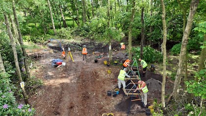 Un grupo de arqueólogos busca meticulosamente entre las ramas enredadas, el suelo y el barro con la misión de encontrar restos del piloto fallecido en la Segunda Guerra Mundial