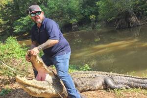 Un grupo de cazadores atraparon un enorme ejemplar de caimán en Texas