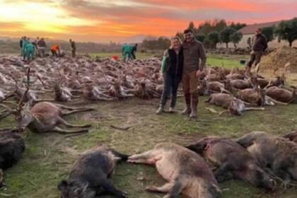 Un grupo de 16 cazadores mataron a 540 animales, especialmente venados y jabalíes,en Portugal