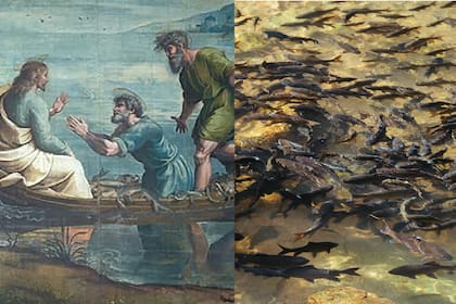 Un grupo de científicos da una nueva explicación al mito bíblico de la multiplicación de peces y panes