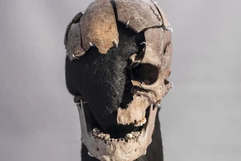 Los científicos descubrieron la verdad detrás de “El hombre de Vittrup”, la misteriosa momia que conmocionó al mundo
