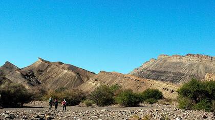 Un grupo de científicos, liderado por una investigadora de Mendoza, aporta nuevos datos sobre un fenómeno climático clave para el desarrollo de los dinosaurios.
