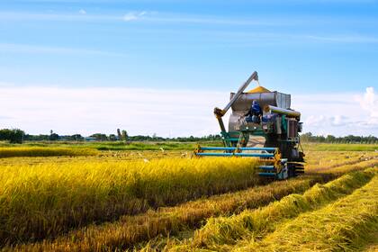 Un grupo de cinco empresas del rubro agricultura, enviaron más de 600 certificaciones laborales para tarjetas verde