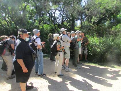 Un grupo de observadores en la Reserva Ecológica Costanera Sur.