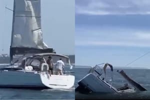 Un grupo de orcas hundió una embarcación en Portugal