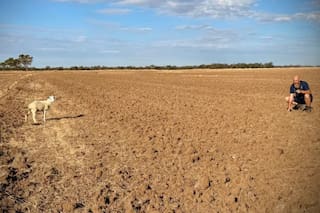 Un viajero perdido vio una “pequeña figura blanca” al borde de la ruta y terminó salvando una vida