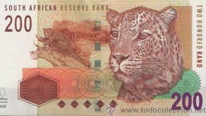 Un guepardo en el diseño del billete 200 rands