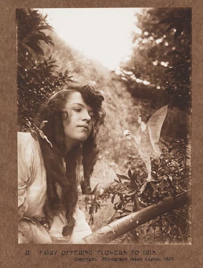 Un hada parada en la rama de un árbol, ofreciéndole a Elsie un pequeño ramo de flores