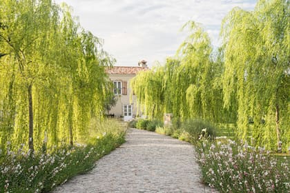 Un hermoso sendero flanqueado por gauras.