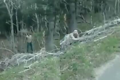 Un hombre aseguró haber tenido un encuentro cercano a un zombi mientras conducía por la ruta