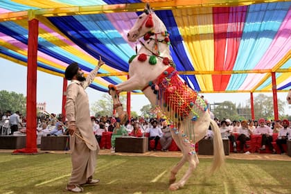 Un hombre baila con su caballo durante una feria celebrada antes del festival Baisakhi en el Khalsa College de Amritsar, en el estado de Punjab, India.