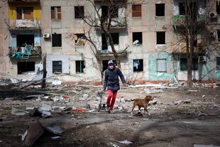 Un hombre camina con su perro cerca de un edificio dañado por proyectiles a las afueras de Mariúpol, Ucrania, en territorio controlado por el gobierno separatista de la República Popular de Donestk el martes 29 de marzo de 2022. (AP Foto/Alexei Alexandrov)