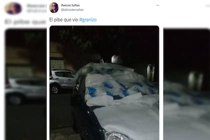 Un hombre camufló su auto para que no sufriera daños Captura Twitter)