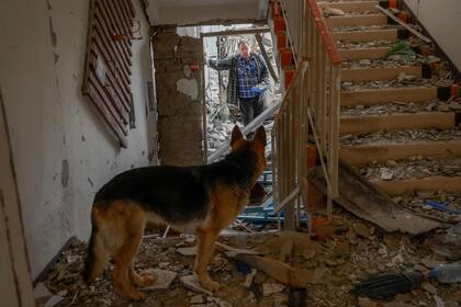 Un hombre con un perro busca cosas útiles en una escuela destruida después de que fuera alcanzada por cohetes rusos en la aldea de Zelenyi Hai, en el sur de Ucrania, entre Kherson y Mykolaiv, a menos de 5 km de la línea del frente