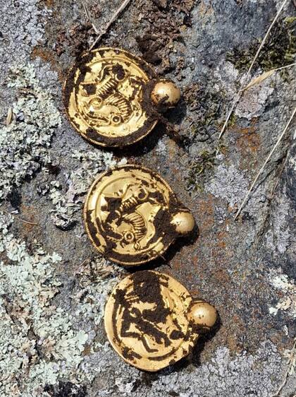 Un hombre de Noruega encontró un valioso tesoro antiguo