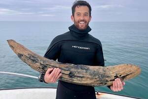 Fue a nadar a la playa y encontró los restos de una bestia que podría tener un millón de años