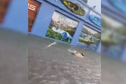 Un hombre fue captado al momento que se lanzó a nadar en una calle inundada (Captura video)