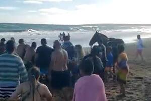 Un hombre fue casi golpeado para que abandone una playa pública a la que había llegado a caballo