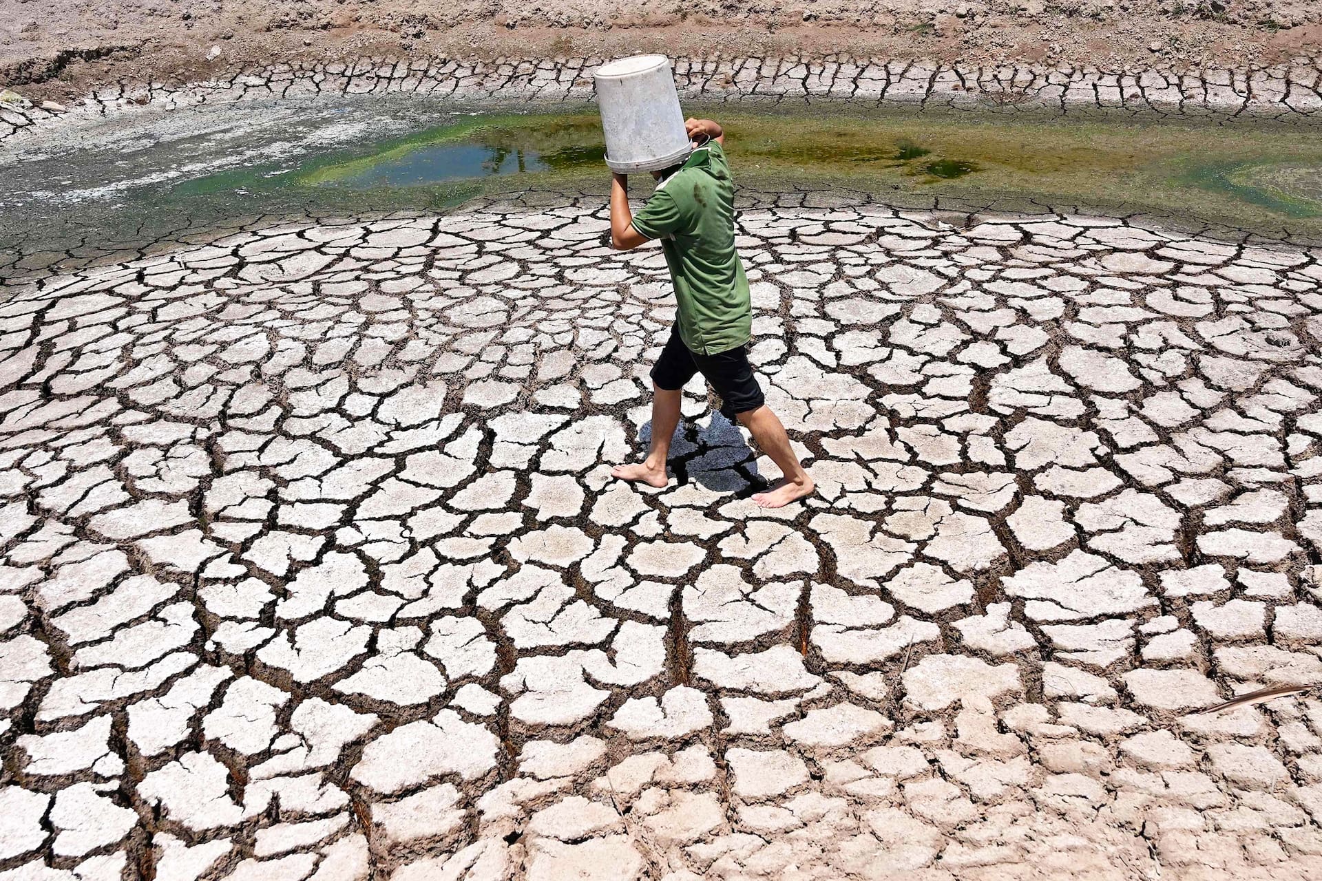 Un hombre lleva un cubo de plástico a través del lecho agrietado de un estanque seco en la provincia de Ben Tre, al sur de VietnamNHAC NGUYEN - AFP