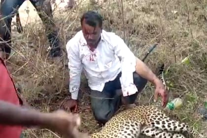 Un hombre mató a un leopardo solo con sus manos para defender a su familia
