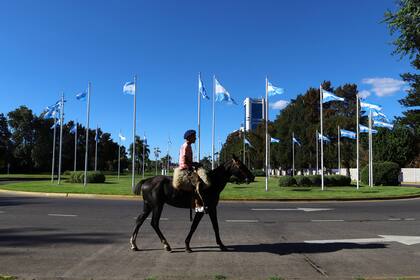 Un hombre monta un caballo en una calle vacía de la zona de Tigre mientras los argentinos acatan el aislamiento social obligatorio