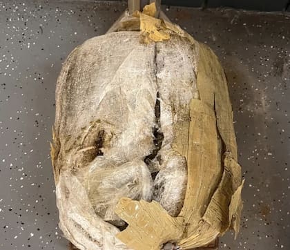 Un hombre que caminaba en Palm Beach se encontró con un paquete de marihuana