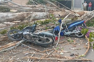 Un hombre murió aplastado por un árbol y otro resultó herido en medio del viento Zonda