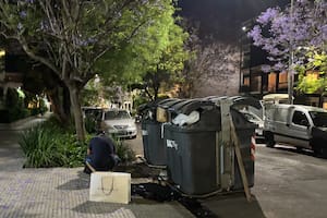 Un hombre revisa residuos junto a contenedores desbordados en una calle en Barrio Parque