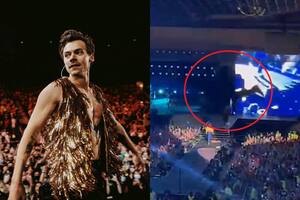 Horror en el show de Harry Styles: un hombre cayó desde la tribuna superior sobre la multitud