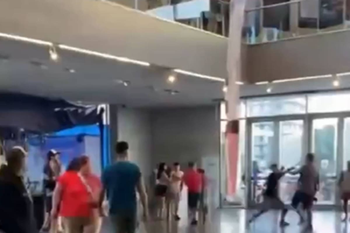 Luta feroz no museu MAR. dois homens seguram pinhas no meio do salão central Luta feroz no museu MAR. dois homens seguram pinhas no meio do salão central