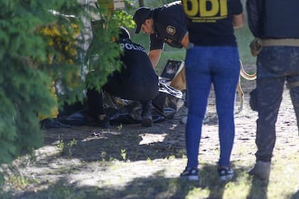 Un homicidio se produjo esta tarde en Ostende , y las primeras pericias y averiguaciones indican que un padre mató a su hijo de un disparo luego de una discusión