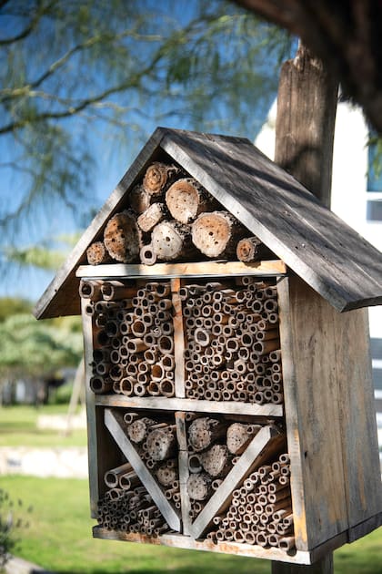 Un "hotel de insectos" para atraer biodiversidad