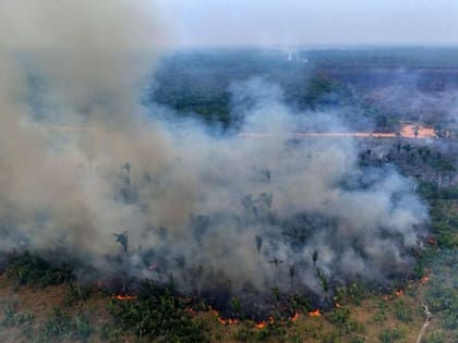 Un incendio en la selva amazónica en el norte de Brasil, el 4 de septiembre de 2024 destruyó el ecosistema local y generó humo tóxico.