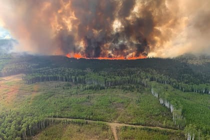 Un incendio forestal arrasa con un bosque de Alberta, Canadá, el 12 de mayo de 2023.  (Government of Alberta Fire Service/Canadian Press via AP)