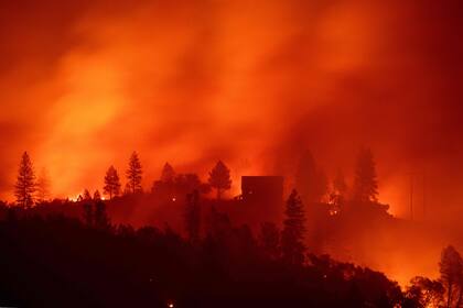 Un incendio forestal cerca de la localidad de Big Bend, California, en noviembre del año pasado