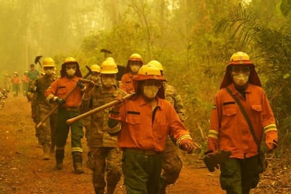 Un incendio forestal en 2024 destruyó millones de hectáreas en Bolivia.