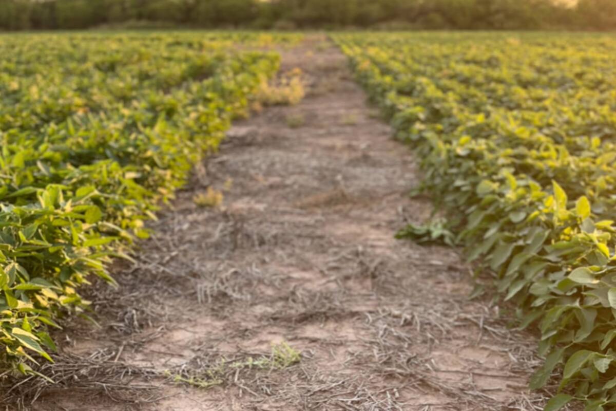 Uma chave desconhecida para La Niña e chuvas de verão Uma chave desconhecida para La Niña e chuvas de verão