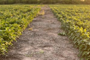 La Niña y una incógnita clave para las lluvias del verano