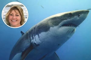 Era de Minnesota, viajó al Caribe y un hecho inusual terminó con su vida