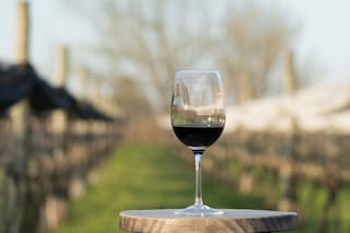 Por qué 2025 fue un punto de quiebre para los vinos argentinos