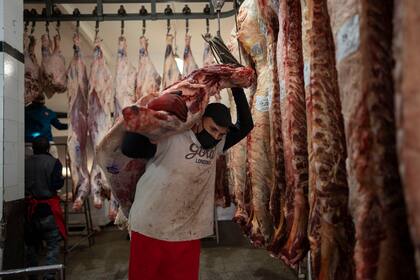 Un informe presentado hoy por el Instituto de Estudios Económicos de la Sociedad Rural Argentina (SRA) revela que el Gobierno hace perder US$8 millones por día en la cadena de la carne