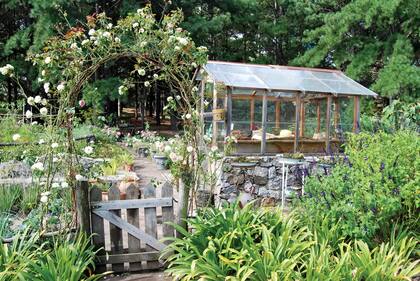Al invernáculo ideal para trabajar con los plantines, se llega cruzando un arco de rosas ‘Iceberg’.