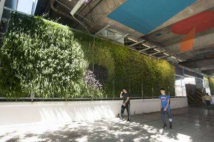 Un jardín bajo una autopista